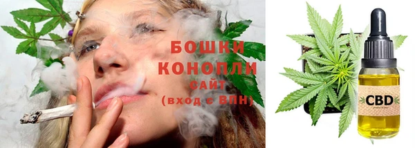 дживик Семилуки